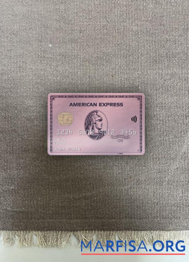 Downloadable USA ADP Earnings bank AMEX rose gold card photolook front example